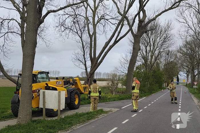 Gevaarlijke situatie door dreigende boomval