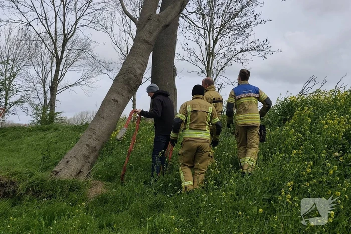 Gevaarlijke situatie door dreigende boomval