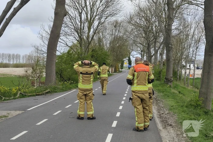 Gevaarlijke situatie door dreigende boomval