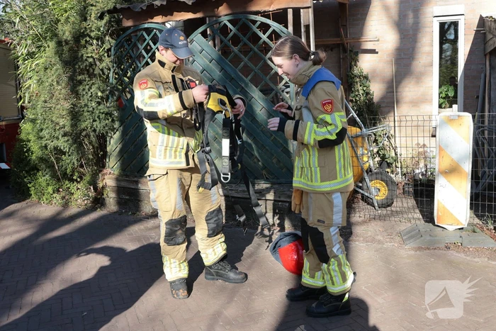 Brandweer redt kat uit boom