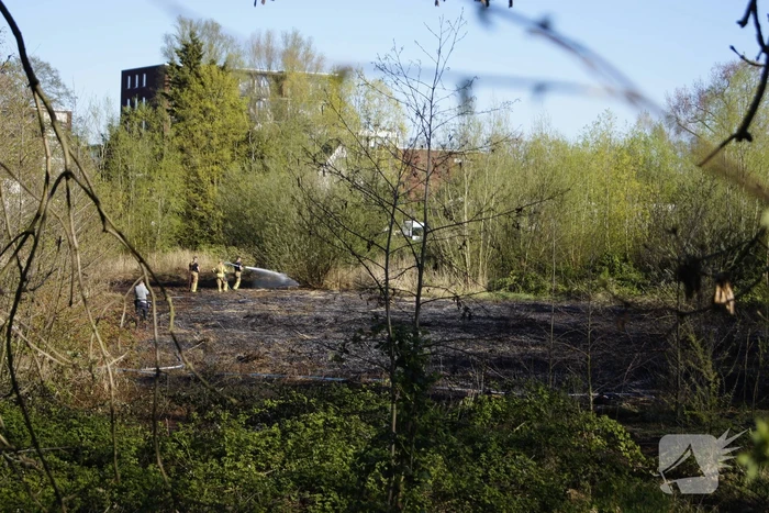Natuurgebied in vlammen, tram- en busverkeer gestremd
