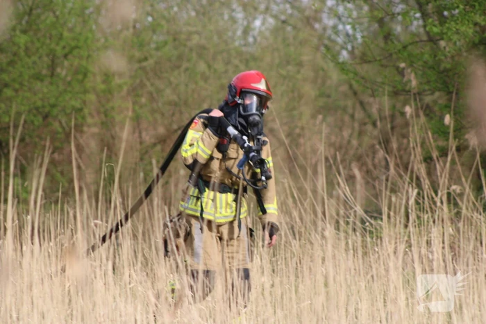 Brand in rietgebied snel geblust