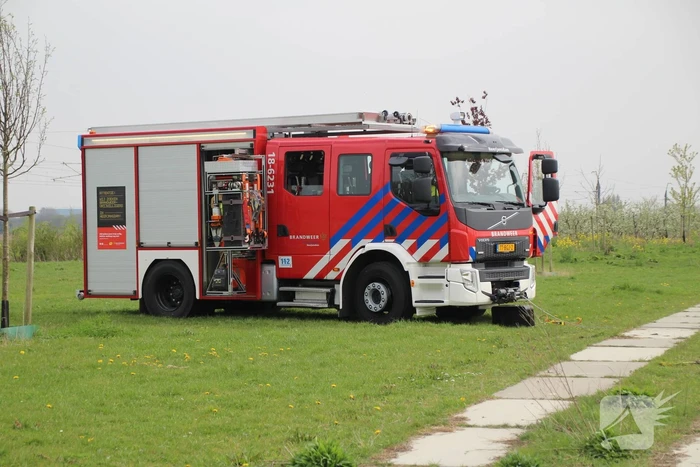Brandweer redt koe uit sloot