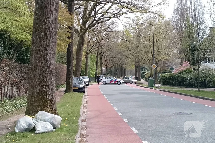 Grote coniferenhaag vliegt in brand