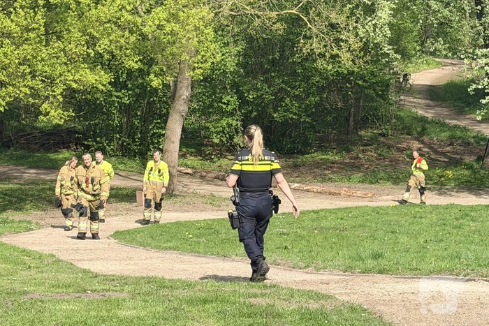 Jongeren steken boom in brand in Veghel