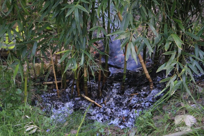 Jeugd ontdekt brand en schakelt hulpdiensten in