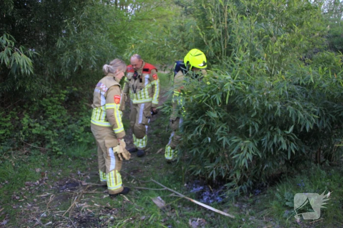 Jeugd ontdekt brand en schakelt hulpdiensten in