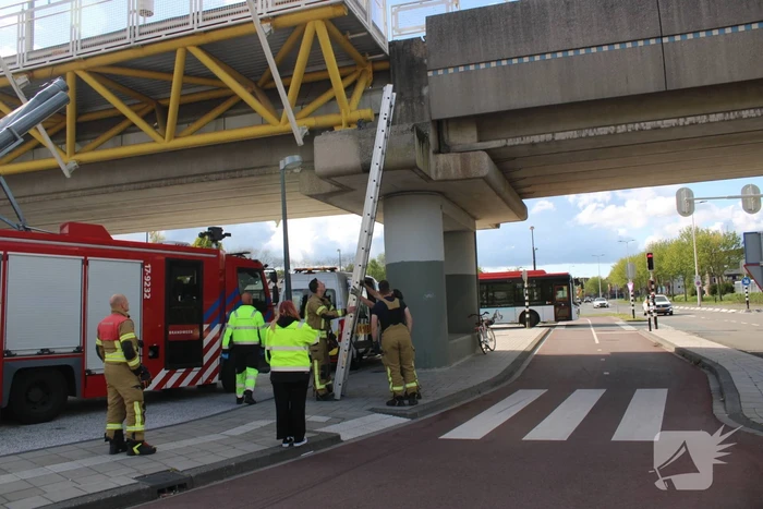 Brandweer redt duiven uit benarde situatie