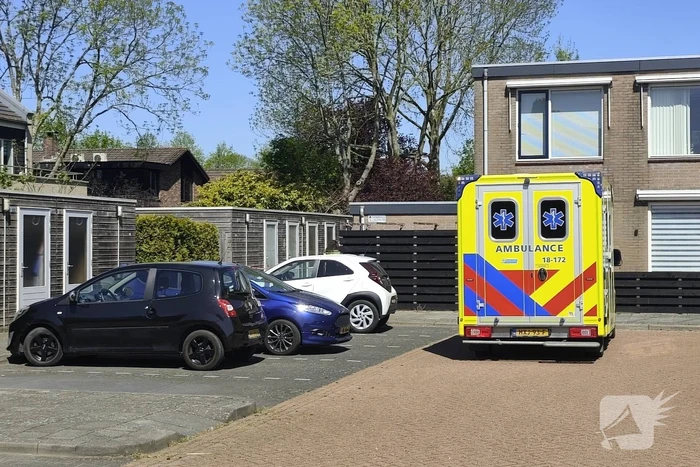 Onderzoek naar lijkvinding