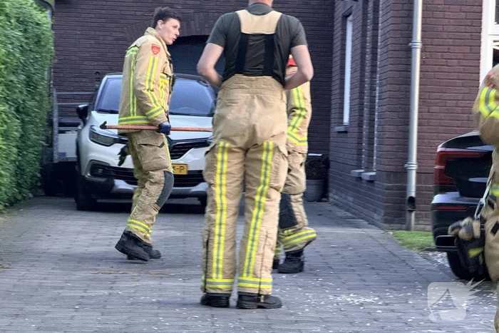 Kat bevrijd uit stenen pizzaoven