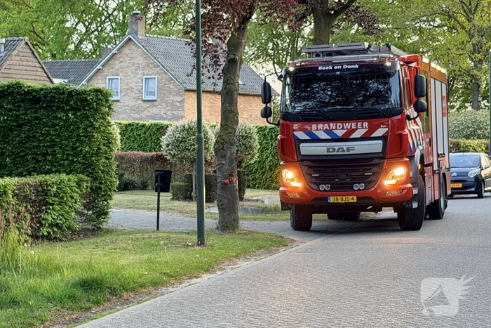 Kat bevrijd uit stenen pizzaoven