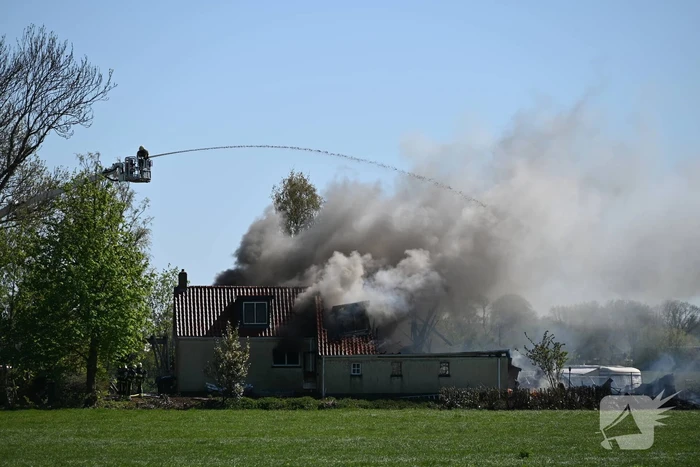brand oenemawei terkaple