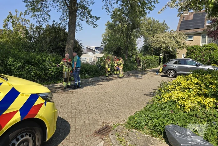 brand kervelhof voorhout