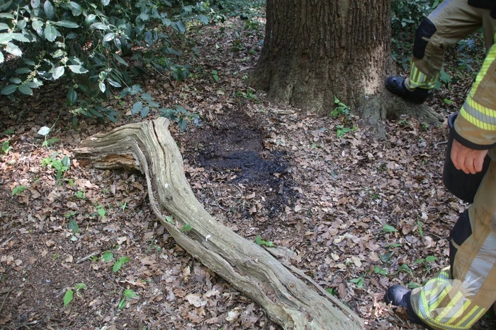 Brandende boomstam geblust met emmers water