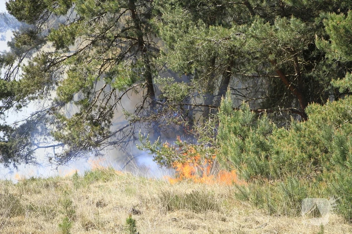Heidebrand op oefenterrein Defensie snel opgeschaald
