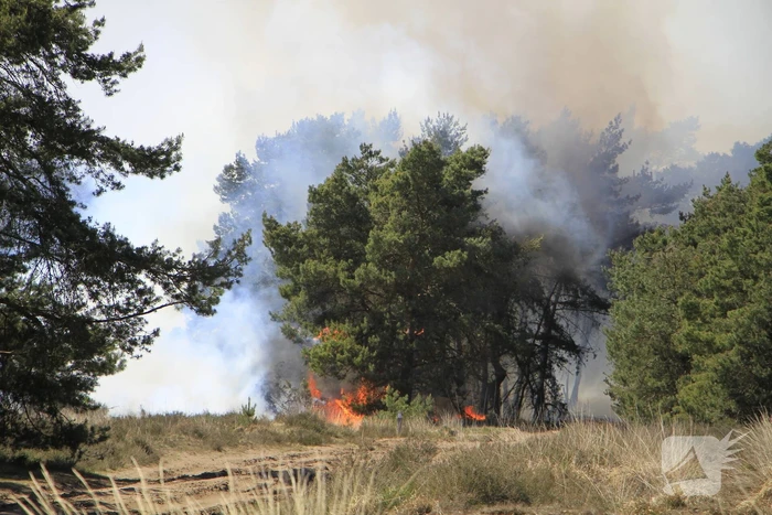 Heidebrand op oefenterrein Defensie snel opgeschaald