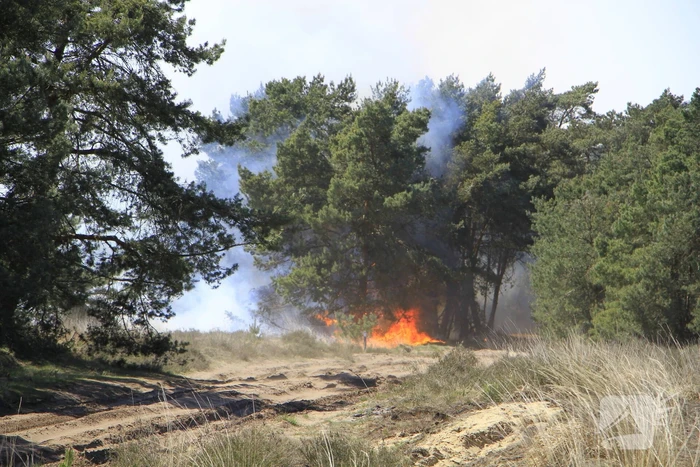 Heidebrand op oefenterrein Defensie snel opgeschaald