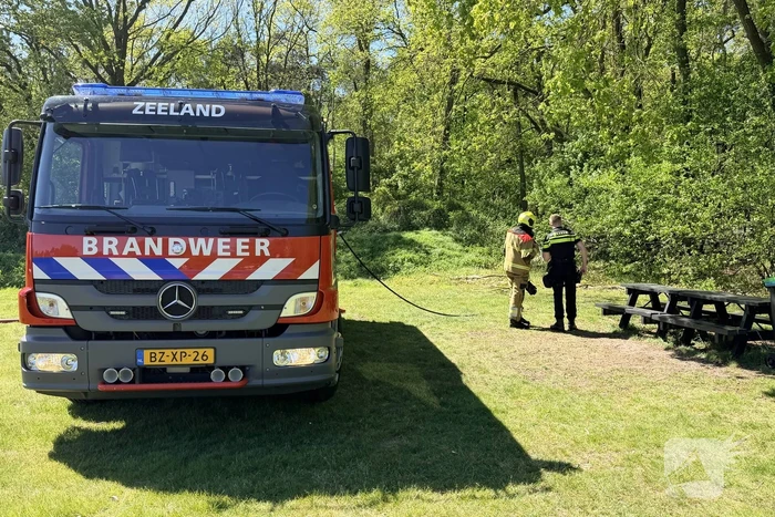 Brand in bosgebied vergt snel ingrijpen