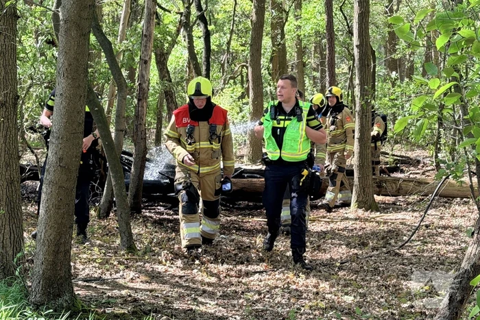 Brand in bosgebied vergt snel ingrijpen