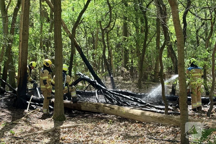 Brand in bosgebied vergt snel ingrijpen
