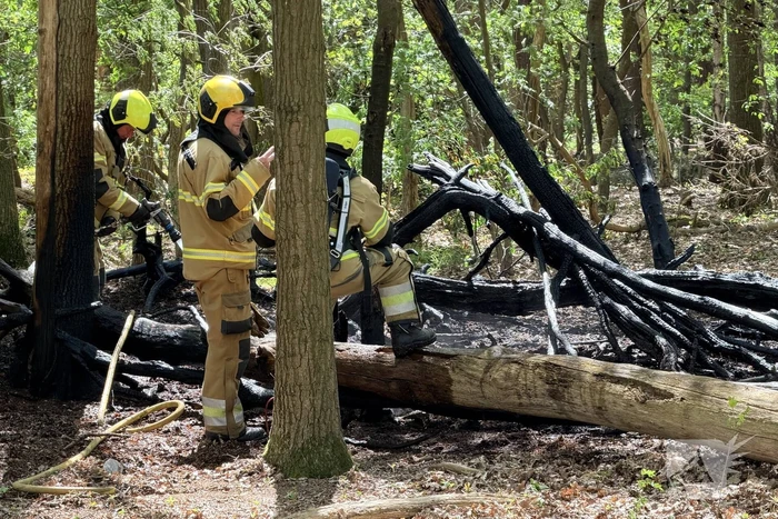 Brand in bosgebied vergt snel ingrijpen