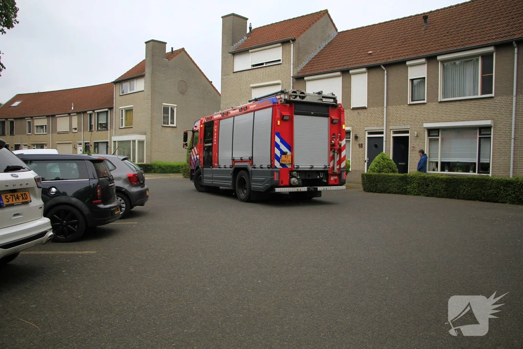 Kokmeeuw 112 meldingen Weert 