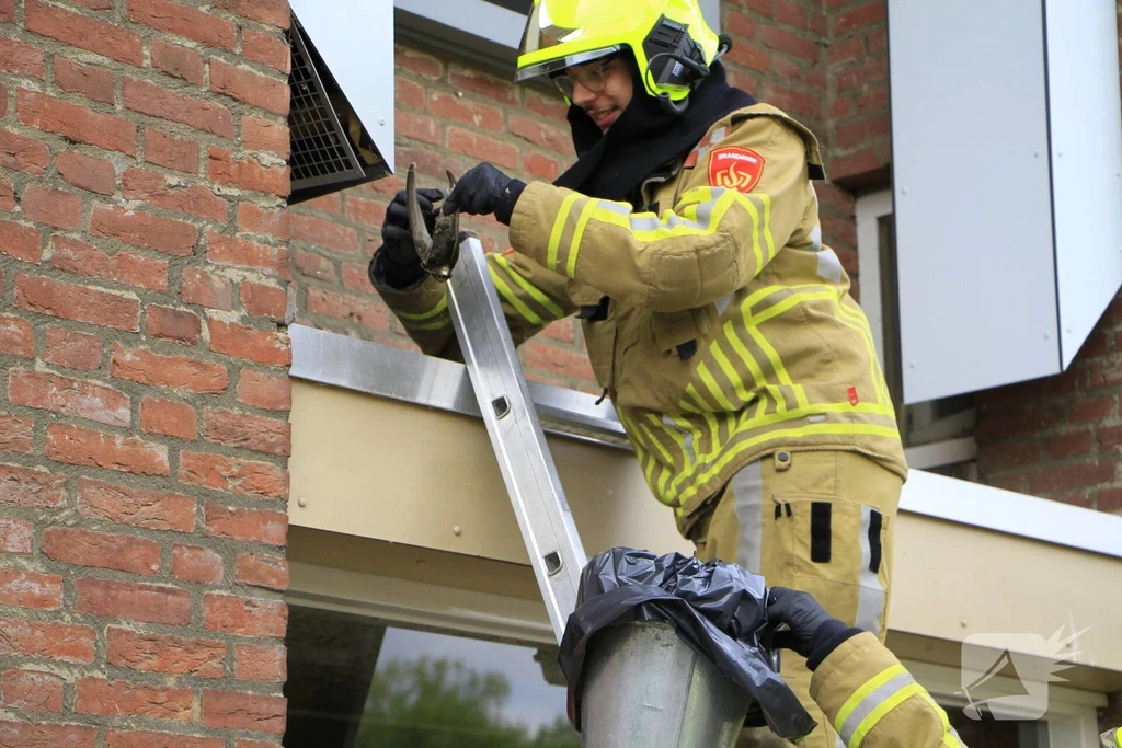 Louise de Colignystraat 112 nieuws Weert 