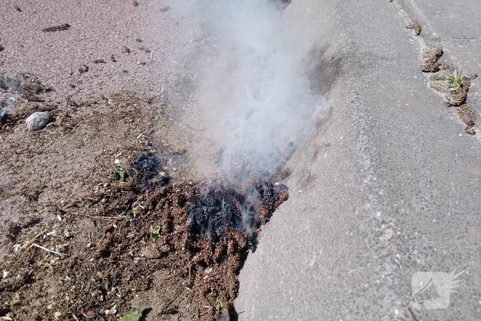 Brandweer blust smeulende boomzaden