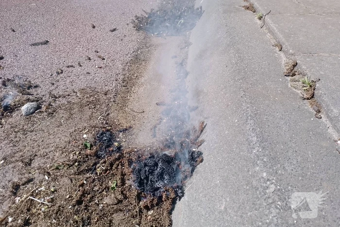 Brandweer blust smeulende boomzaden