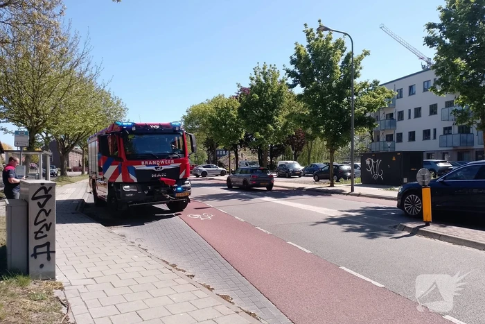Brandweer blust smeulende boomzaden