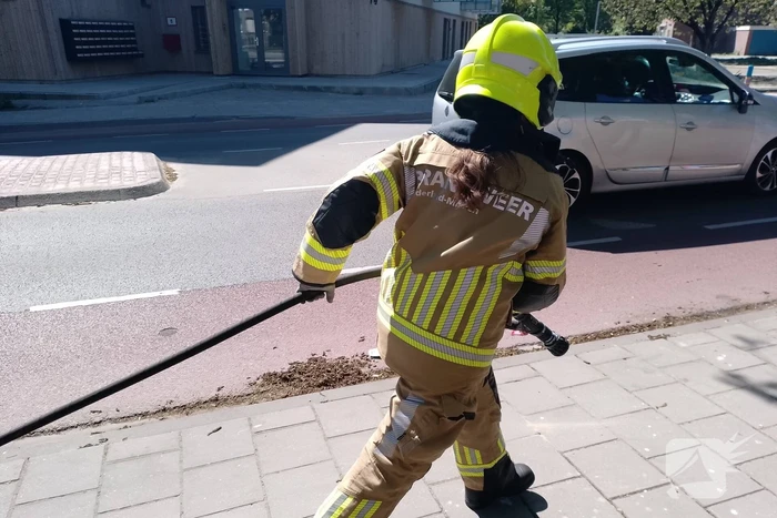 Brandweer blust smeulende boomzaden
