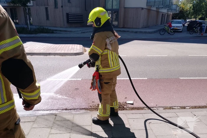 Brandweer blust smeulende boomzaden