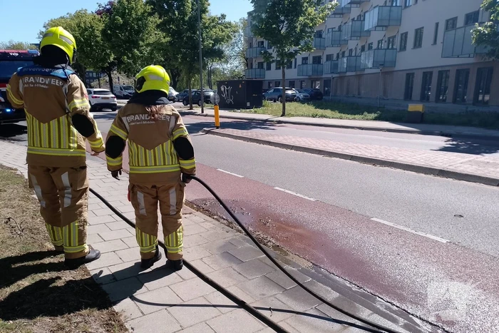 Brandweer blust smeulende boomzaden