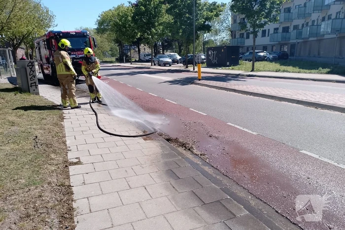 Brandweer blust smeulende boomzaden