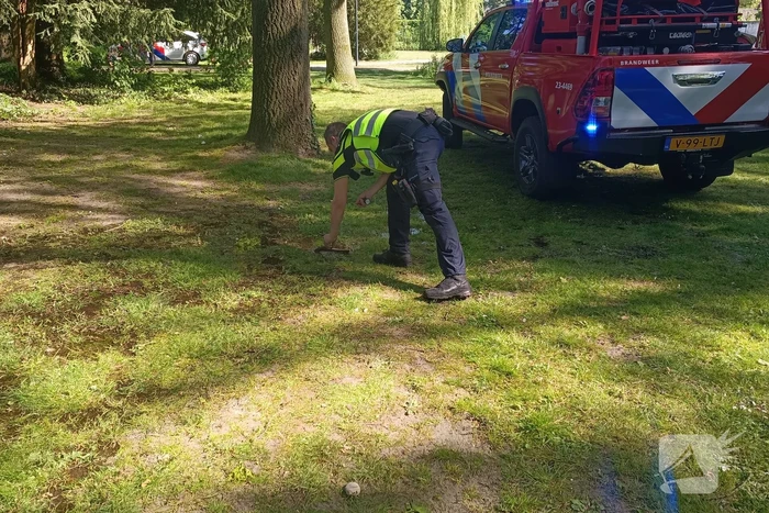 Buitenbrand in Weert snel onder controle