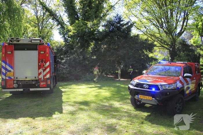 Buitenbrand in Weert snel onder controle