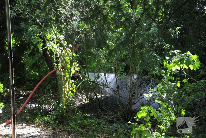 Buitenbrand in Weert snel onder controle
