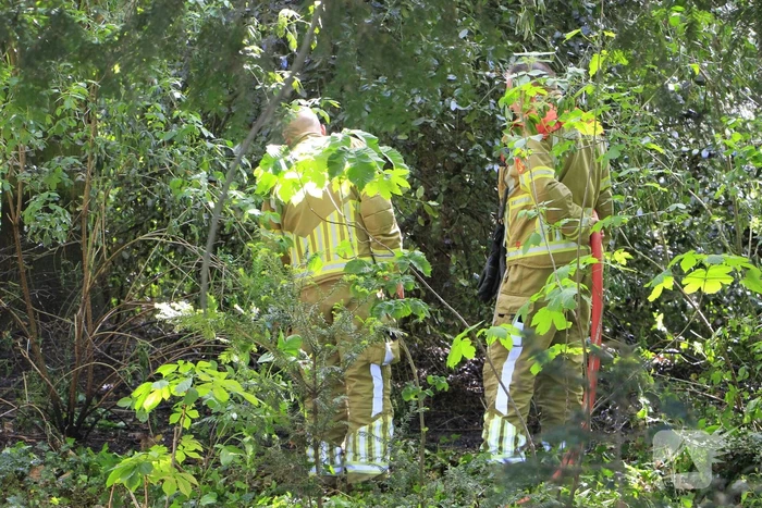 Buitenbrand in Weert snel onder controle