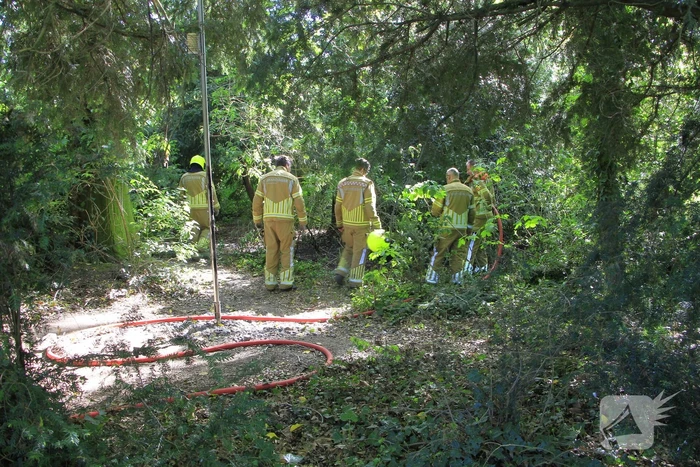 Buitenbrand in Weert snel onder controle