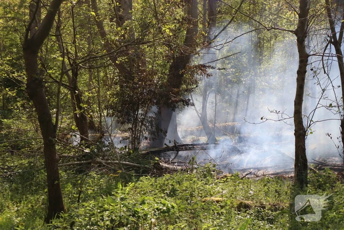 Bosbrand beperkt gebleven door snelle actie