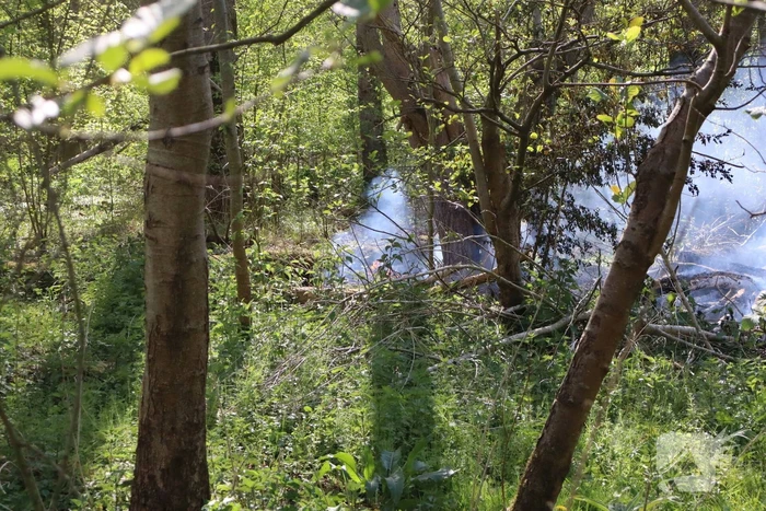 Bosbrand beperkt gebleven door snelle actie