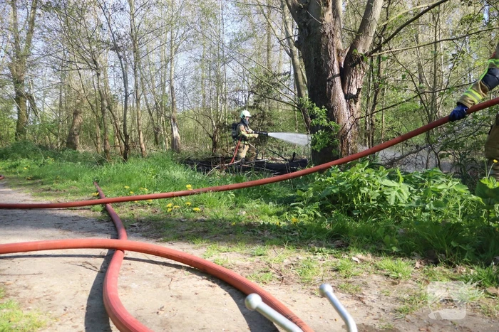 Bosbrand beperkt gebleven door snelle actie