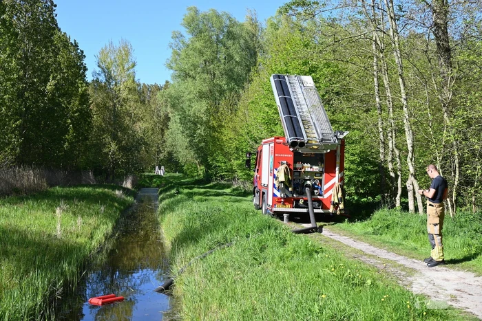 Bosbrand beperkt gebleven door snelle actie