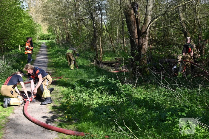 Bosbrand beperkt gebleven door snelle actie