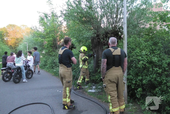 Brand in berm en boom bestreden door brandweer
