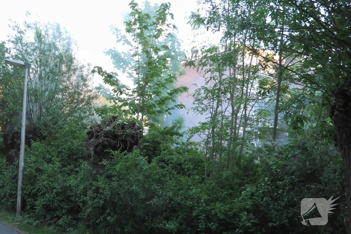 Brand in berm en boom bestreden door brandweer
