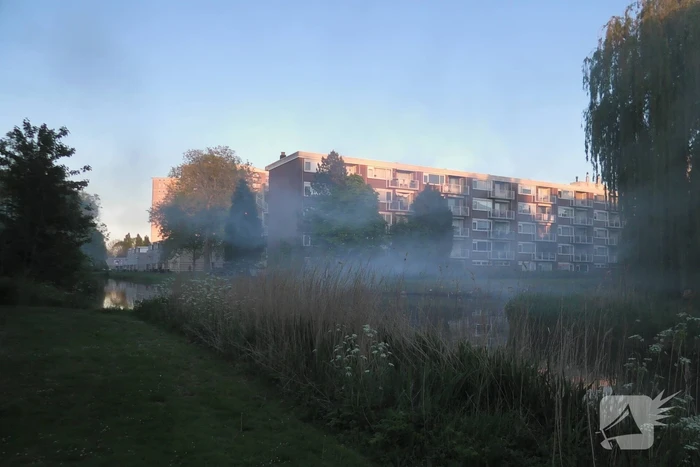 Brand in berm en boom bestreden door brandweer