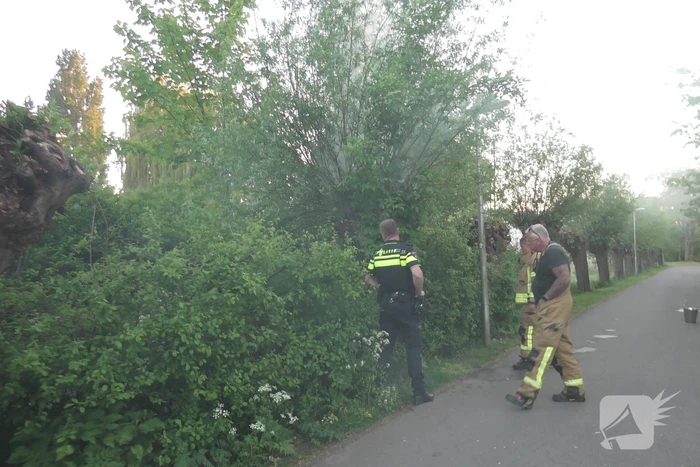 Brand in berm en boom bestreden door brandweer