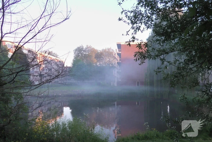 Brand in berm en boom bestreden door brandweer