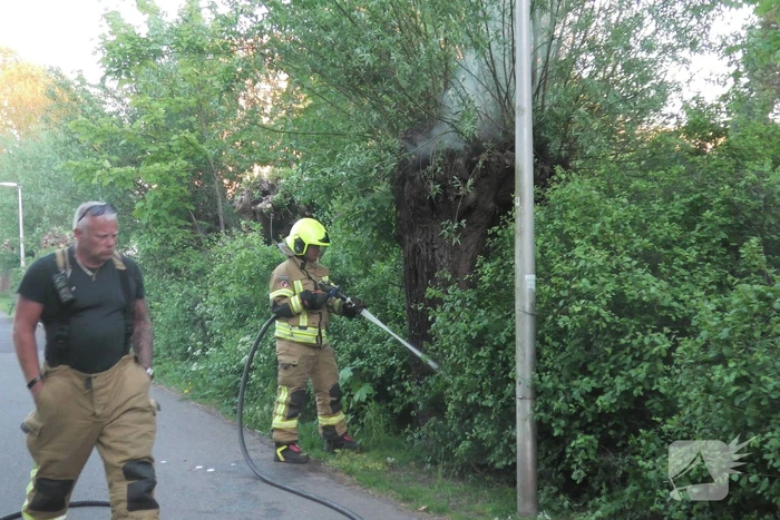 Brand in berm en boom bestreden door brandweer